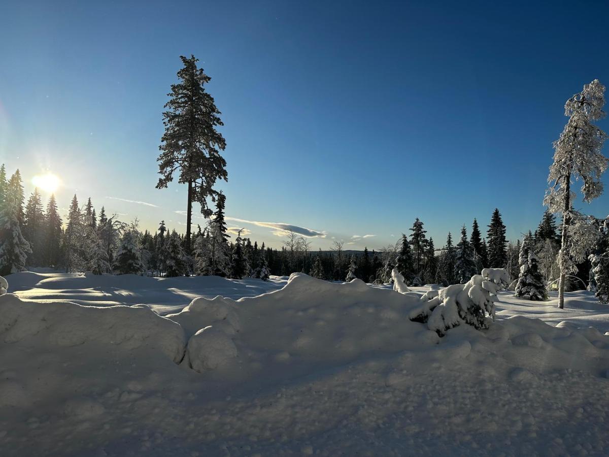 Sore Osen Orbekken Torberget エクステリア 写真