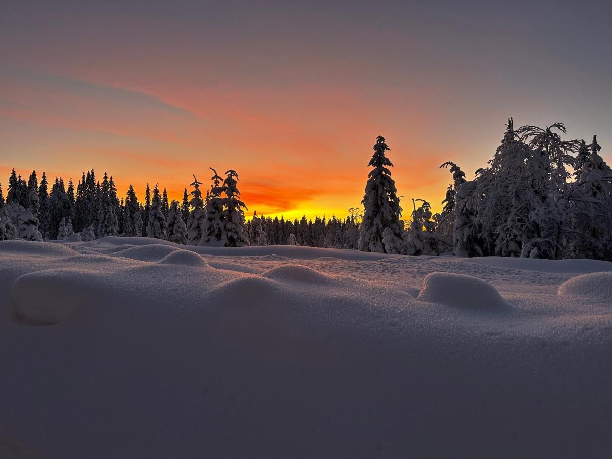 Sore Osen Orbekken Torberget エクステリア 写真